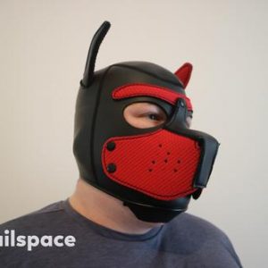 Direct from China Fully enclosed pup hood