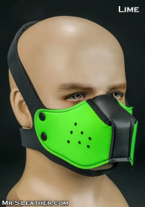 lab puppy muzzle lab puppy muzzle