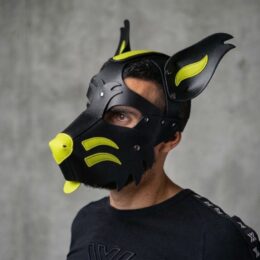 BoxerBarcelona-X2-HeadHarness
