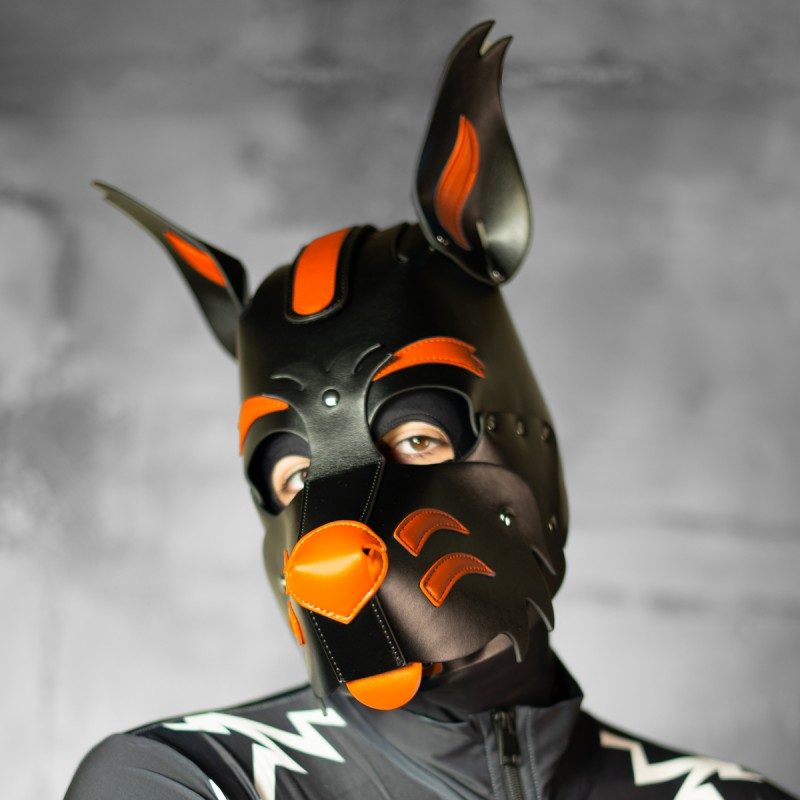 X2 Pup Hood