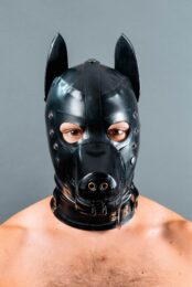 WHR-Dog-1