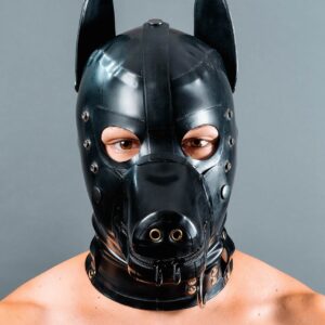 WetHot Dog Hood