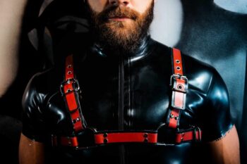 WHR-Harness