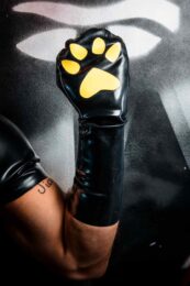 WHR-Std-Paw